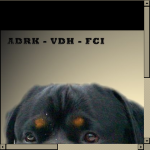 Rottweiler vom Hause NeubrandThumbnail